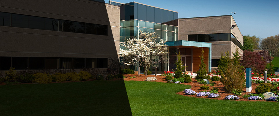 Cedar City Landscapers