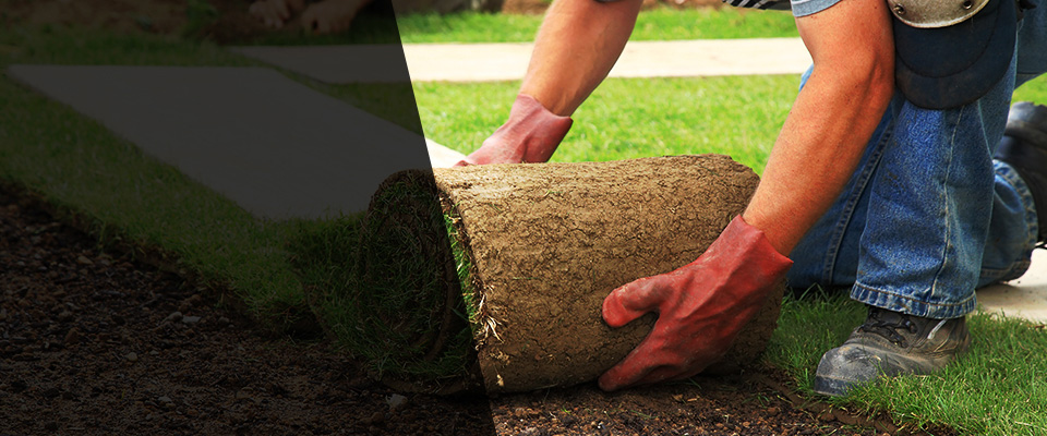 Cedar City Landscapers